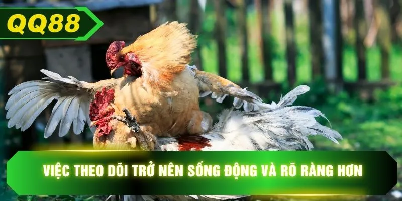 Việc theo dõi trở nên sống động và rõ ràng hơn 